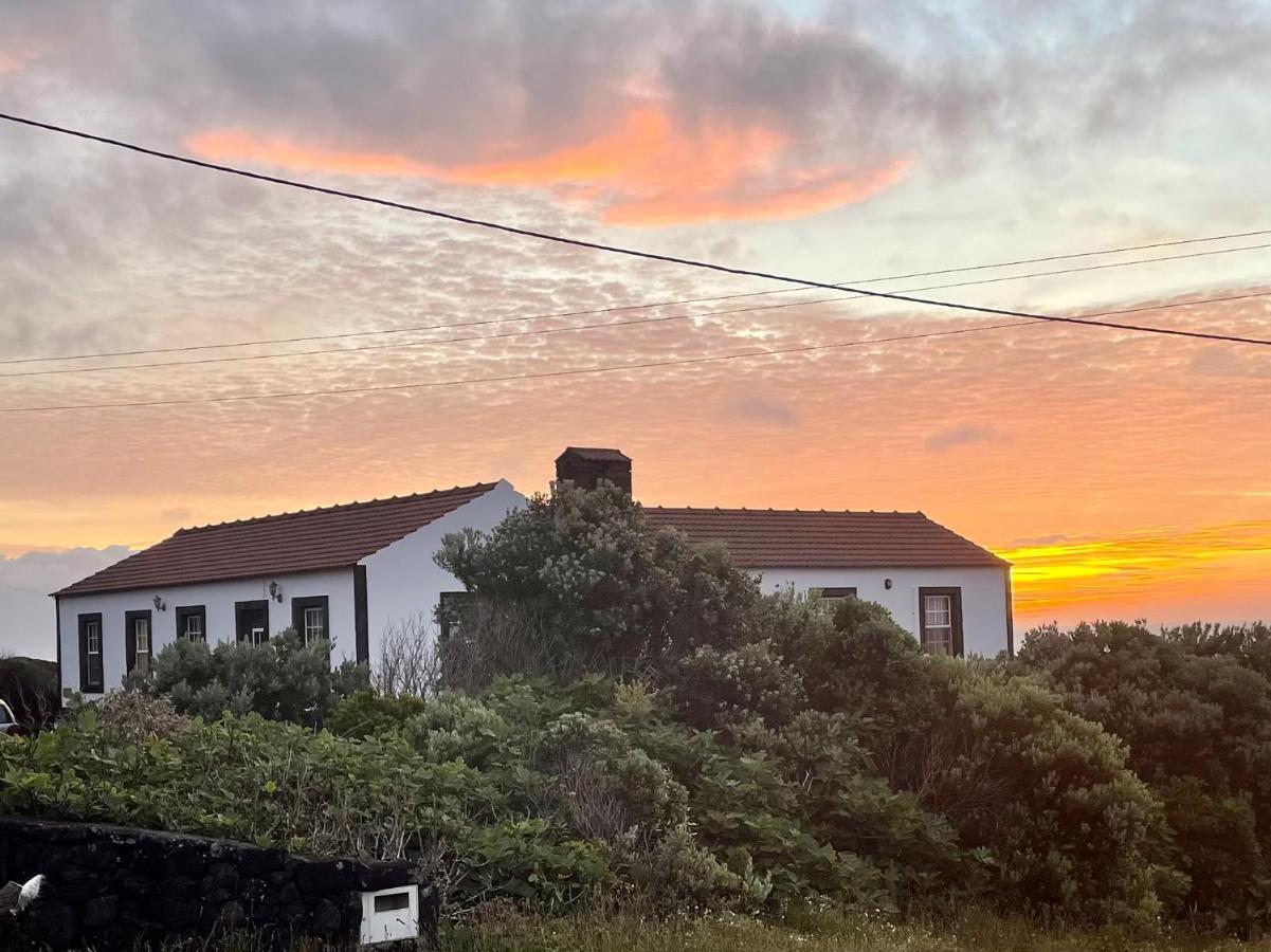 Dream By The Sea Villa Madalena  Eksteriør billede